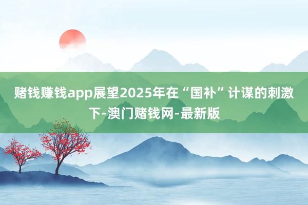 赌钱赚钱app展望2025年在“国补”计谋的刺激下-澳门赌钱网-最新版