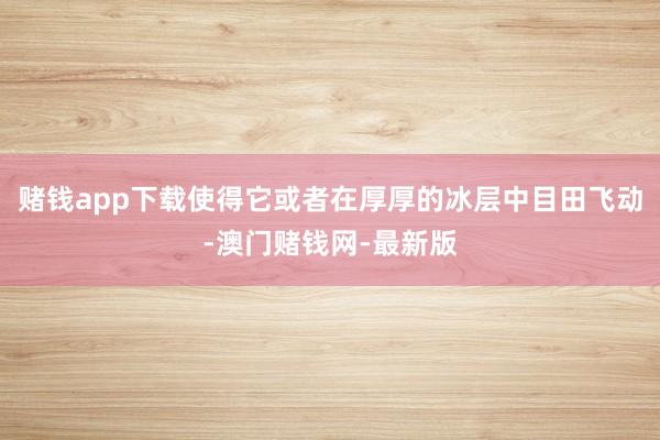 赌钱app下载使得它或者在厚厚的冰层中目田飞动-澳门赌钱网-最新版