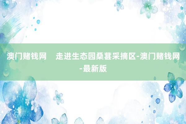 澳门赌钱网    走进生态园桑葚采摘区-澳门赌钱网-最新版