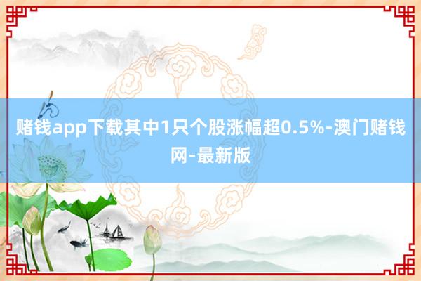 赌钱app下载其中1只个股涨幅超0.5%-澳门赌钱网-最新版
